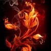 dframe