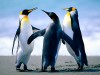 gy761015