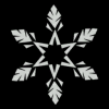 972580684