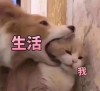 jiang_ss