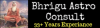 bhriguastroconsult2019