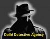 Delhidetectiveagency