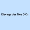 Elevage des Nez D'Or