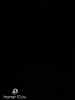 3292749198