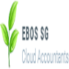 Ebos SG Cloud Accountants