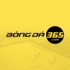 soikeo.bongda365com