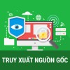 Truy xuất Việt