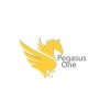 Pegasus One