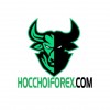 hocchoiforex2020