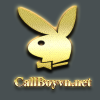 Callboy VN