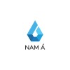 Nước Nam Á