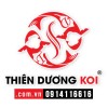 Thiên Dương Koi