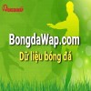 bong da so