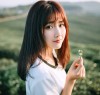 nguyendungrosi