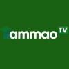 dabong tammaotv