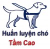 huanluyenchotamcao