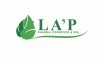 lapvietnam.com.vn