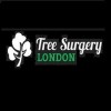 Tree Surgery London - Gardening Services