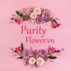 purityflower.vn