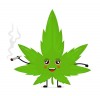 Cannabis shop online