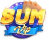 sumvip9