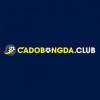 Cá Độ Bóng Đá Club