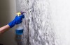 Mold Experts of Los Angeles