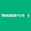 traderforexnet1