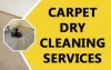 Carpet Cleaning Gold Coast