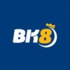 Bk8vn.online