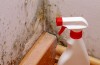 Mold Experts of Milwaukee
