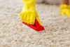 Carpet Cleaning Logan