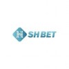 shbet
