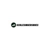 Schlesinger Shoes