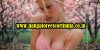 bangaloreescortindia