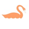 Cotton Swan