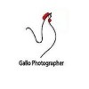 Gallo Photographer