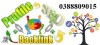 dichvuentitybacklinkseo