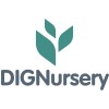 dignurseryvashon