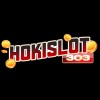 Hokislot303