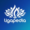 LIGAPEDIA SLOT