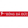 blogbongdaduc