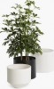 Buy Flower Pot with Stand