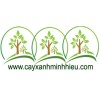 cayxanhminhhieu.com