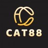 cat88