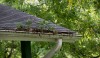 Venice of America Gutter Solutions
