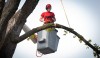 Garden City Tree Service