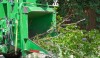 Oil Capital Tree Service
