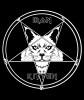 Iron Kitten