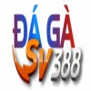 dagasv388gold